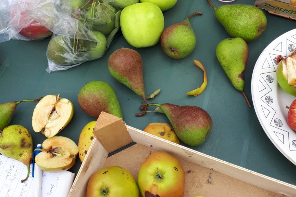 plaatje niet gevonden